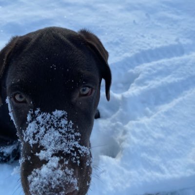 GRAPEcs2's profile picture. CS2 @zomblers
coaching @ https://t.co/tCTUZev7Lk