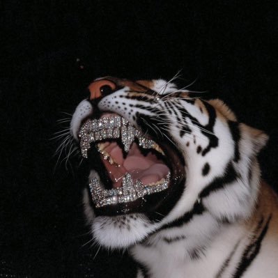 quickwitted00's profile picture. if Ogun no wan doggy you, always know that fucking around is equal to finding out.