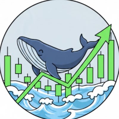 EquitesWhale's profile picture. Stock picks, fundamental analysis, wheel options & macro market insights