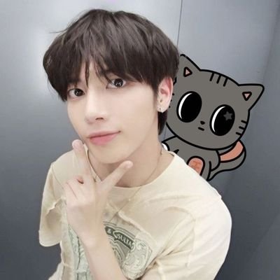 liivestibulando's profile picture. Vestibulando || NO LABELS. JUST ME. ⋆·˚ ༘ *      
✶ Collector (TXT ot5, Monsta X ot3, Ateez ot2)