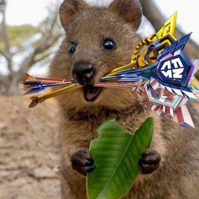 SwizzY281's profile picture. 19 🇷🇺 | Player for ??? | 281😈 | Multi-Regional FNCS Champion | Contact @alhasarda