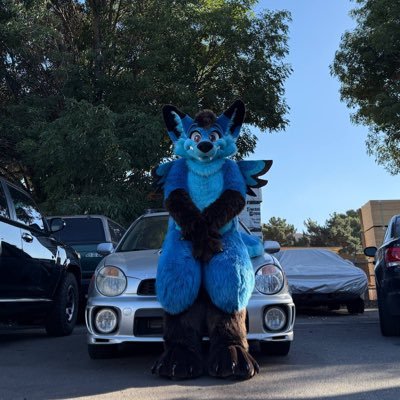 @datDumbFolf