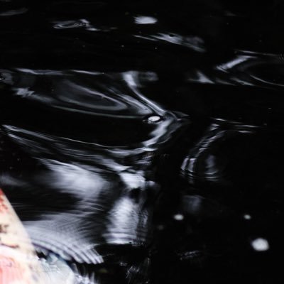 kimama_runner's profile picture. 02 趣味