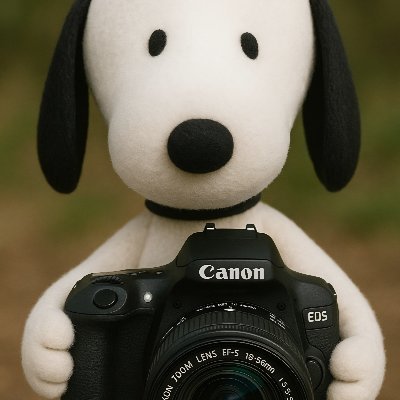 Infiniteredtape's profile picture. Every picture tells a story. Every story has a hero. Real cameras, real images, real life.  A photographer's life, one image at a time.