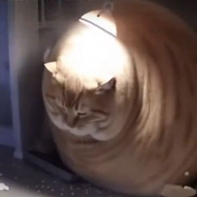 JohnWicksnutsac's profile picture. big