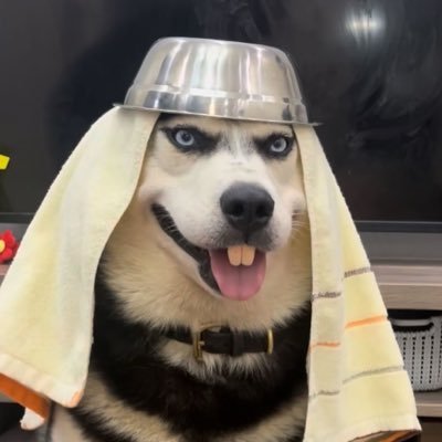 chillsea_96's profile picture. #JossGawin | @Josswayar @gawincaskey | อยู่เจริญบำรุง💪🏻