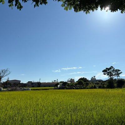 paulchiang1986's profile picture. 