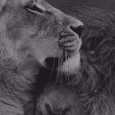 gffrh1's profile picture. 