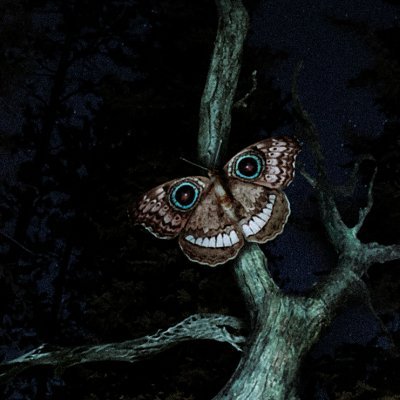 30dxgs's profile picture. etaoin shrdlu