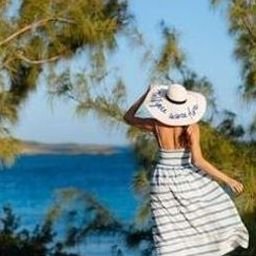 Vlujak349281's profile picture. 