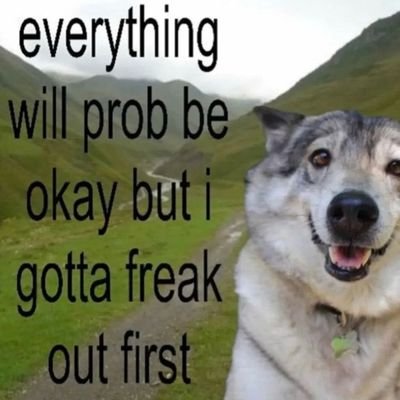 Nesqkuix's profile picture. Only use this for game logins
Expect a ton of random game shares