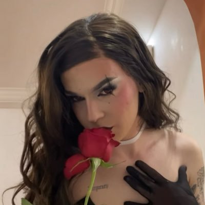 mvsa2000's profile picture. To feel alive 🌹🦀