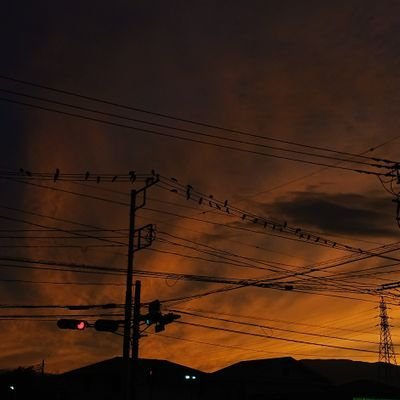 ariru_rearia's profile picture. 写真を撮ります。
