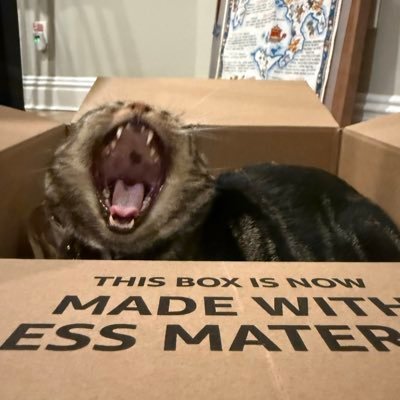 woodmorgn's profile picture. 