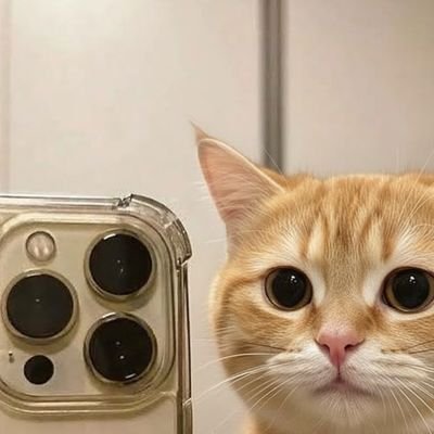 websterveld's profile picture. 