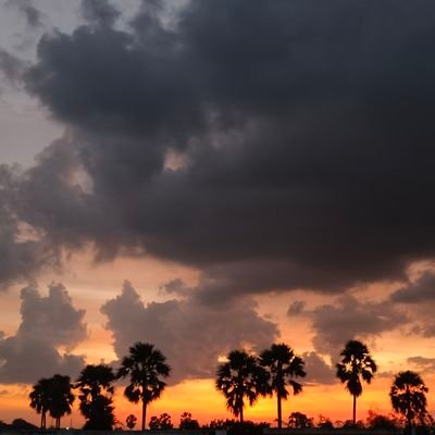 vkdev456's profile picture. Full-Stack Dev | MERN Stack