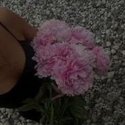 Veauher9860's profile picture. 