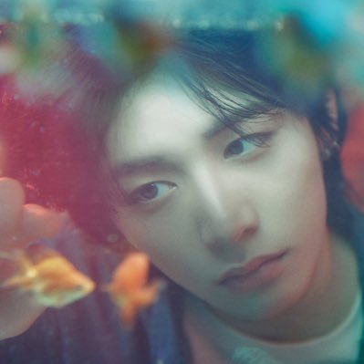 next_ts0810's profile picture. 🐈‍⬛