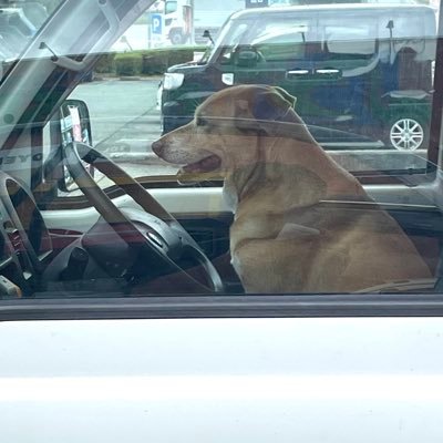 keikamotu555's profile picture. 軽貨物5年目で姥を2024年から始めました。駐禁切られまくるのでバイクで稼働しています。