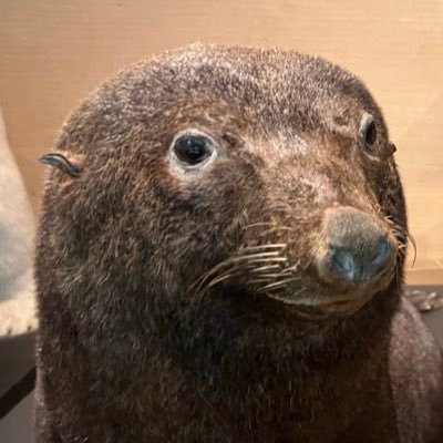 buriorz's profile picture. 23歳です