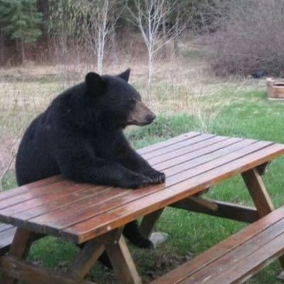 perksmadezay's profile picture. tuff user