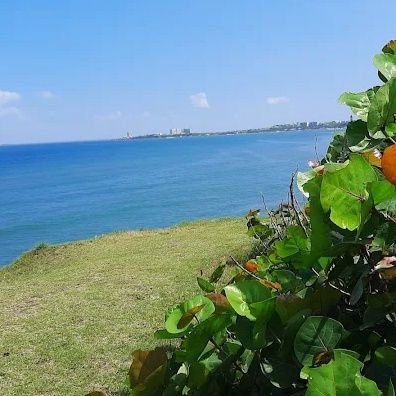 Sasy_30's profile picture. 