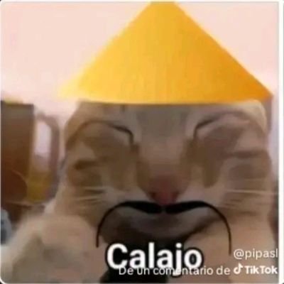 yotaroichikawa's profile picture. No se...