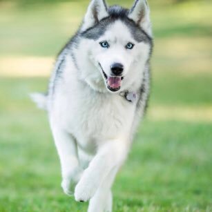 Money_MakerRob's profile picture. Trading Derivatives/Crypto/Real Estate/The Truth/Self Made, I Don’t Give a FCK What Anyone Thinks of Me/Not A BS BIO /Not Financial Advice