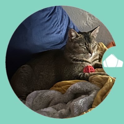 junequill_'s profile picture. i own @foldyswife & @QFoldy. foldy might be my favorite character