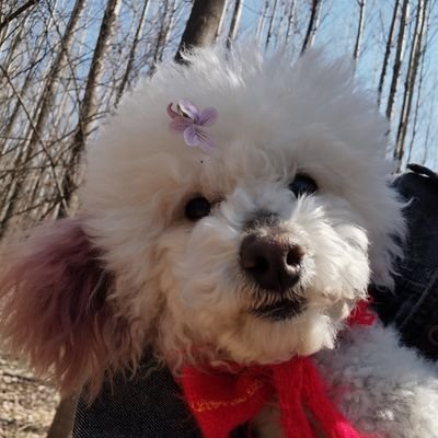 CreationOf88484's profile picture. Hand Made or AI arts & music

#SOL #POL #XTZ #ETH #WETH

Visit my YouTube channel  https://t.co/ZTpdI5vqJs