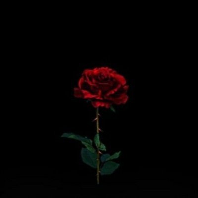 MKeller7777777's profile picture. 