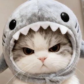 empty_eye1z's profile picture. fan account 𓂃⋆ ꙳ @almondsleepp #AlmondProgress @jnnrrs #JuniorMark