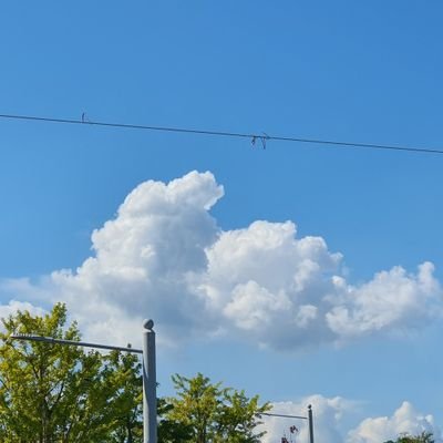 BlueDreamN9's profile picture. :)