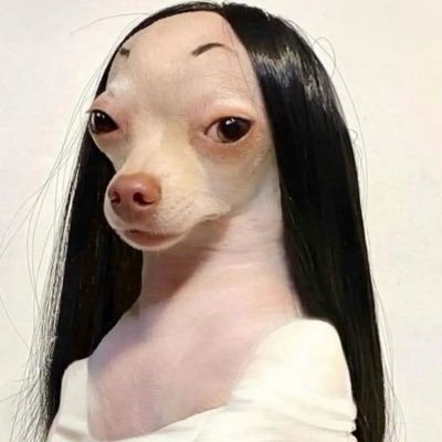 GladiadorMed's profile picture. 