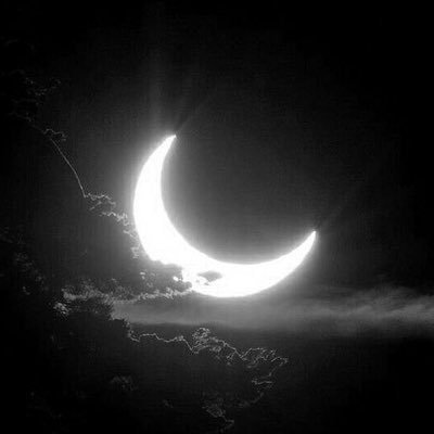 RoverCrypt8807's profile picture. 