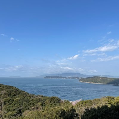 KqeXQ64SCu8317's profile picture. 