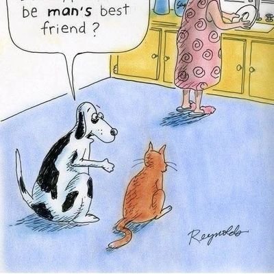 Knightowl313540's profile picture. 