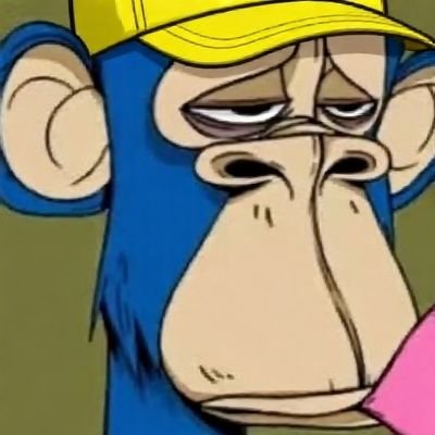 gloria_merryn_4's profile picture. Forecasting long-term protocol health and security through cryptoeconomic simulation.