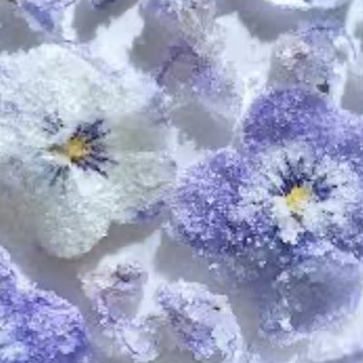 4U7iQBuayg9579's profile picture. 3歳息子と夫の3人暮らし/専業主婦/28小受予定/バターと美術館とミュージカルが好き♡