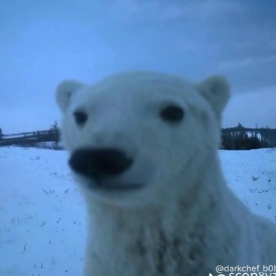 MyRoomIsCold_'s profile picture. orderflow + vwap trador