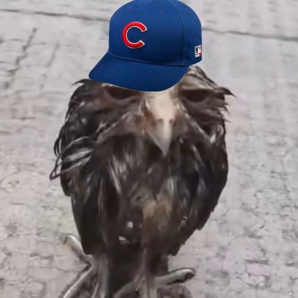 perky023's profile picture. ragebait headquarters 

I've won if your this deep in the argument