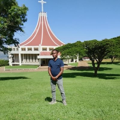 mikekips8's profile picture. @realme