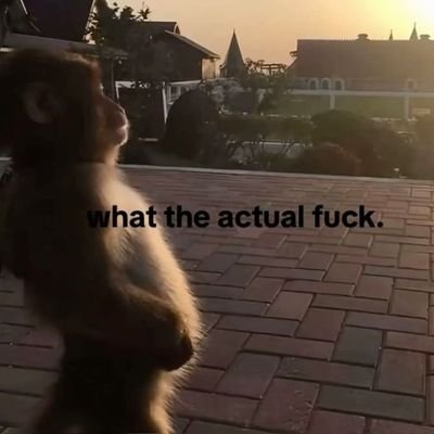 IG3NN's profile picture. 