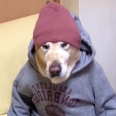 bxrnardo_'s profile picture. ✍️