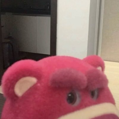 softylaw's profile picture. sarcastic artsy fairy mami