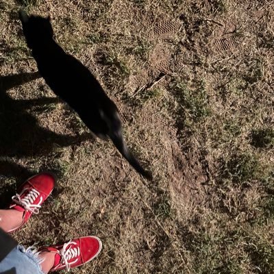 ParanoiaNM's profile picture. I 💟Distorted 808s 🔊 e-scape-🐐
encrypted