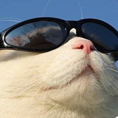 myu_nyuk's profile picture. 끝을 내지 않았다고 해서 꿈처럼 헛된 일이라고 절망하지는 마