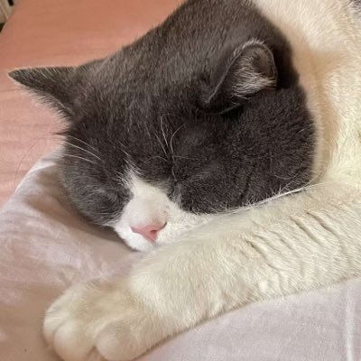 AZY667's profile picture. 