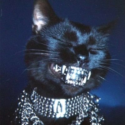 The_Informator9's profile picture. 