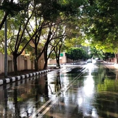 VibhutiTiwarii's profile picture. Listener | Observer | Learner | Loner | Dreamer